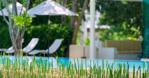 รูปภาพ พฤกษ์ลดา บางนา (Pruklada Bangna)