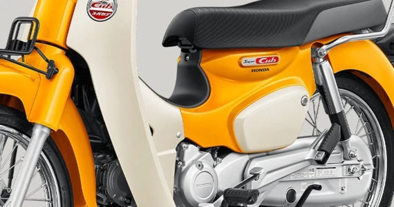 รูปภาพ ฮอนด้า Honda Super Cub (Standard) ปี 2025