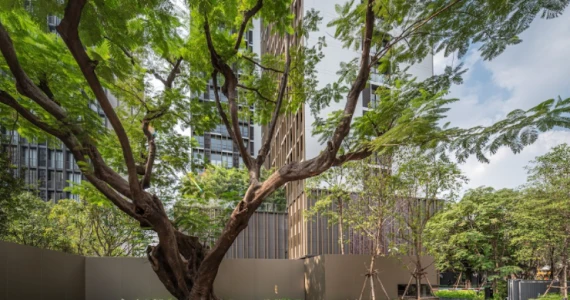 รูปภาพ โนเบิล อราวน์ สุขุมวิท 33 (Noble Around Sukhumvit 33)