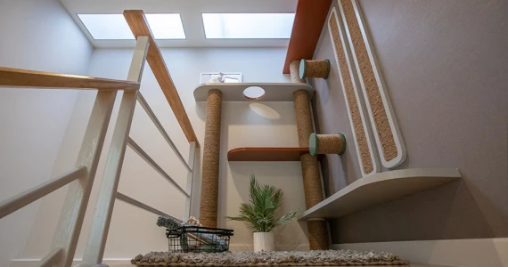 รูปภาพ ศุภาลัย พรีโม่ รังสิต (Supalai Primo Rangsit)