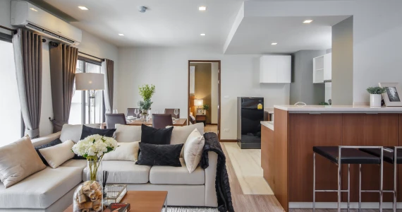 รูปภาพ เดอะ เน็กซ์ พรีเมียร์ (The Next Premier)