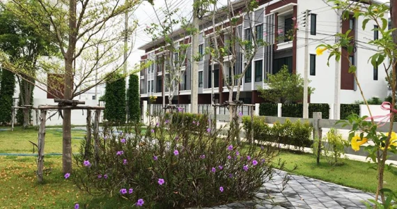 รูปภาพ โคซี่เฮาส์ ปทุมธานี - นนทบุรี (COZY HOUSE Pathumthani - Nontaburi)