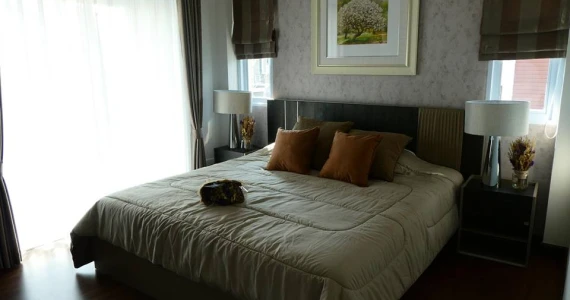 รูปภาพ เดอะพรีโก้ (The Prego)