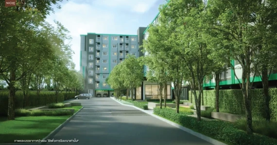 รูปภาพ นิช ไอดี เสรีไทย-วงแหวน (Niche id Serithai-Wongwaen)