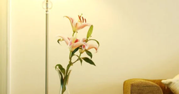 รูปภาพ เดอะ ไลท์ สวนหลวง