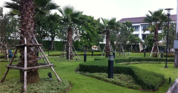 รูปภาพ บ้านกลางเมือง อ่อนนุช-วงแหวน (Baan Klang Muang)