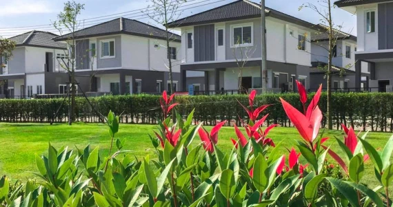 รูปภาพ บ้านฉัตรหลวง โครงการ 15 ซอยวัดบางเตยใน - สามโคก (Chatluang 15 Watbangtoeinai - Samcoke)