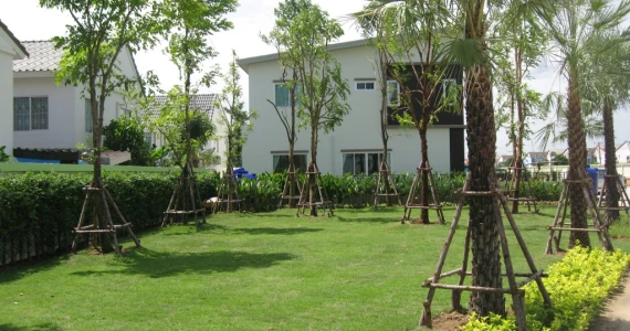 รูปภาพ บ้านราชพฤกษ์ ประตูน้ำพระอินทร์ เฟส 2 (Baan Ratchapruek Pratunam Pra-inn Phase 2)