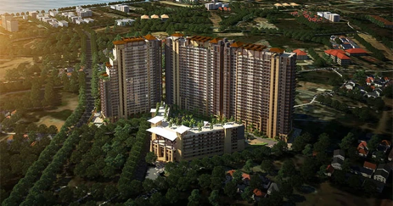 รูปภาพ ซาวันน่า แซนด์ (Savanna Sands)