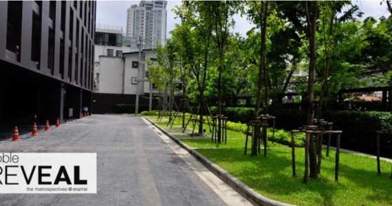 รูปภาพ โนเบิล รีวีล (Noble Reveal)