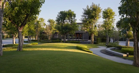 รูปภาพ บุราสิริ สันผีเสื้อ เชียงใหม่ (Burasiri Sanphisuea Chiangmai)