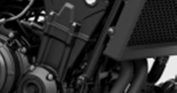 รูปภาพ ฮอนด้า Honda Rebel 500 ปี 2022