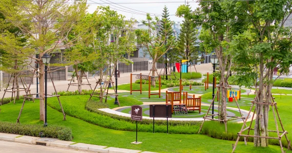 รูปภาพ อินดี้ อยุธยา (Indy Ayudhaya)