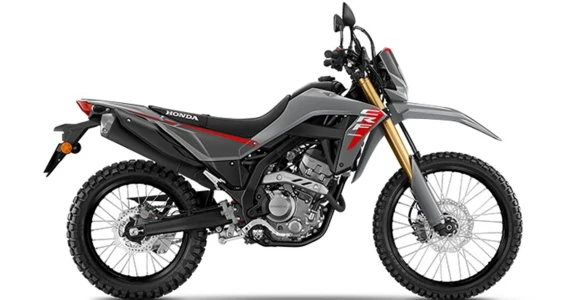 รูปภาพ ฮอนด้า Honda CRF 300L ปี 2024