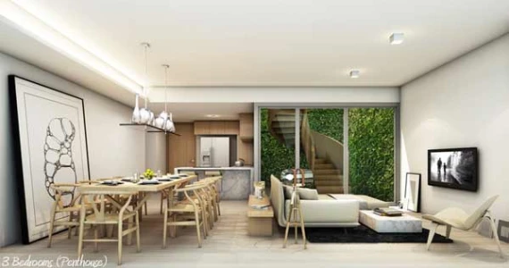 รูปภาพ ไซมิส ราชครู (Siamese RatchaKru)