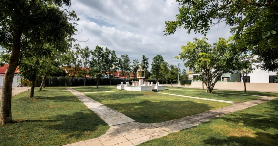 รูปภาพ อุไรสิริ ไลท์ ดอนทอง x ประชาสุข (Uraisiri Lite Donthong x Prachasuk)