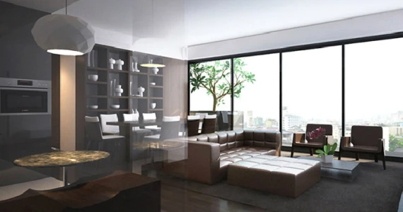 รูปภาพ ไซมิส จอยญ่า (Siamese Gioia)