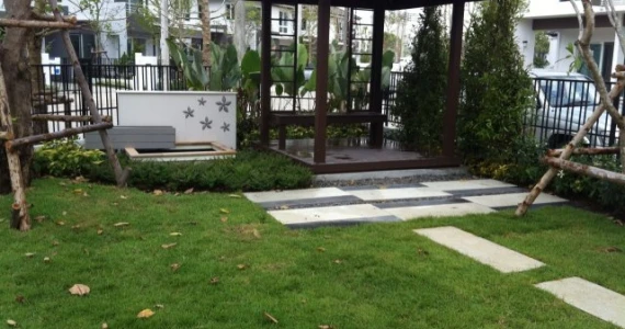 รูปภาพ ชัยพฤกษ์ ปิ่นเกล้า - สาย 5 (Chaiyapruk Pinklao-Sai 5)