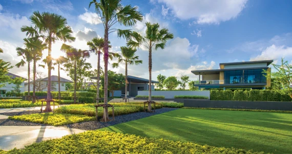 รูปภาพ ชัยพฤกษ์ รามอินทรา - พระยาสุเรนทร์ (Chaiyapruek Ramindra - Phrayasurain)