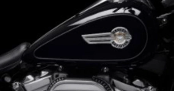 รูปภาพ ฮาร์ลีย์-เดวิดสัน Harley-Davidson Cruiser Fat Boy 114 ปี 2022