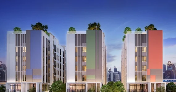 รูปภาพ บริกซ์ตัน เพ็ทแอนด์เพลย์ สุขุมวิท 107 (Brixton Pet & Play Sukhumvit 107)