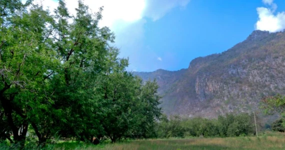 รูปภาพ วิลล่าโนวา เขาใหญ่ (Villanova Khaoyai)