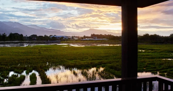รูปภาพ บุราสิริ สันผีเสื้อ เชียงใหม่ (Burasiri Sanphisuea Chiangmai)