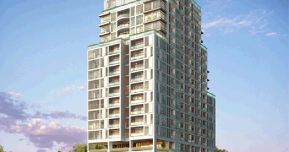 รูปภาพ ไซมิส สุรวงศ์ (Siamese Surawong)