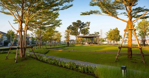 รูปภาพ ชัยพฤกษ์ ทางด่วนรามอินทรา - จตุโชติ (Chaiyapruk Ramindra Expressway - Jatuchote)