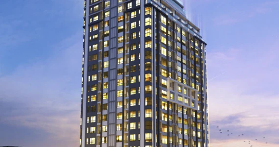 รูปภาพ ไนท์บริดจ์ แบริ่ง (KnightsBridge Bearing)