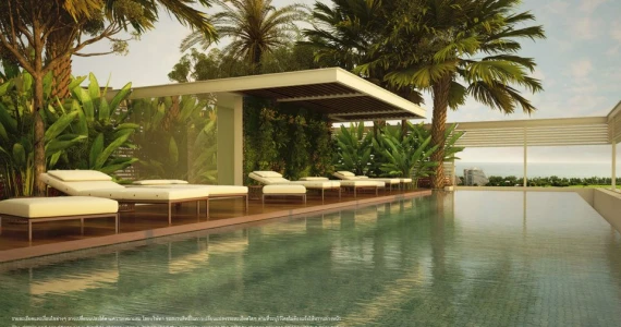 รูปภาพ ทรีท็อปส์  (Tree tops)