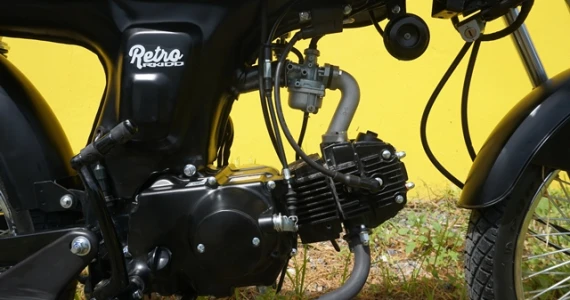 รูปภาพ จงเซิน ริวก้า Zongshen Ryuka Retro 100 ปี 2019