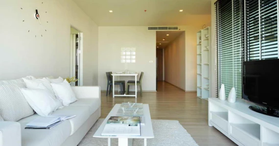 รูปภาพ โนเบิล โซโล (Noble Solo)