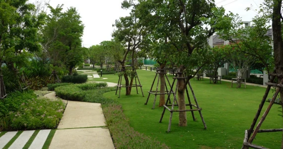 รูปภาพ เซนโทร รามอินทรา (Centro)