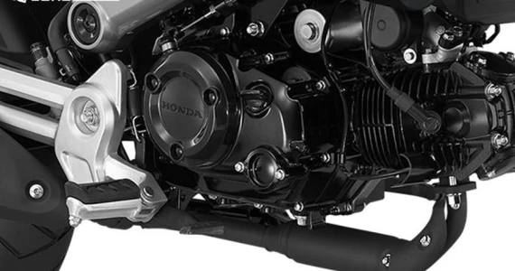 รูปภาพ ฮอนด้า Honda MSX125 GROM (STD) ปี 2022