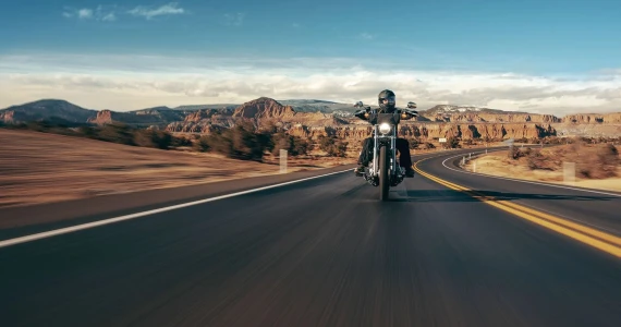 รูปภาพ ฮาร์ลีย์-เดวิดสัน Harley-Davidson Softail (Standard) ปี 2023