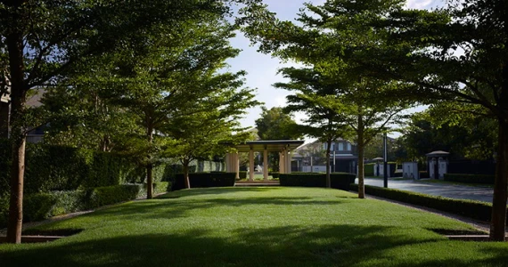 รูปภาพ นาราสิริ ปิ่นเกล้า - สาย 1 (Narasiri Pinklao - Sai 1)