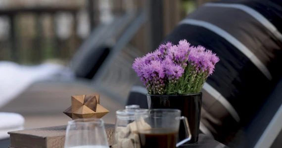 รูปภาพ สราญสิริ ประชาอุทิศ-สุขสวัสดิ์ (Saransiri Prachauthit-Suksawat)