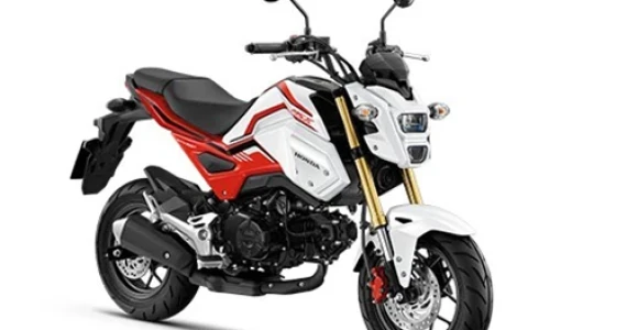 รูปภาพ ฮอนด้า Honda MSX125 SF Standard MY20 ปี 2020