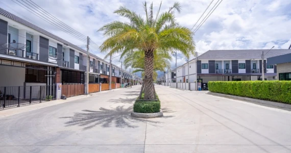 รูปภาพ ศิวาลัย บางสมัคร (Sivalai Bangsamak)