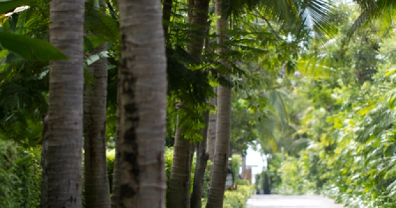 รูปภาพ หัวหิน บลู ลากูน (Hua Hin Blue Lagoon)