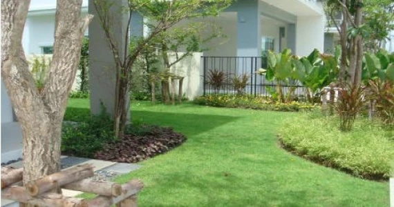 รูปภาพ พฤกษ์ลดา ติวานนท์-ราชพฤกษ์ (Pruklada Tiwanon-Ratchapruk)