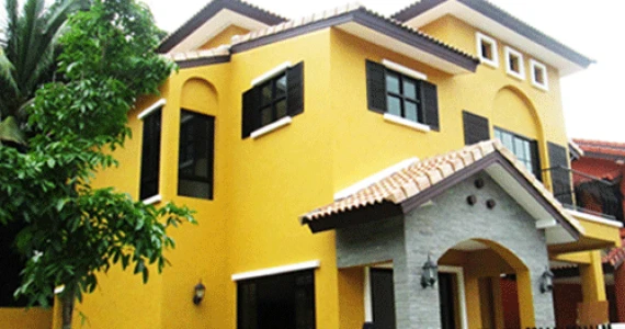 รูปภาพ พิลโล่ 36 (Pillow 36)