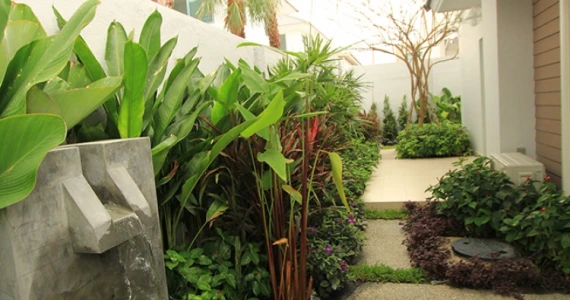 รูปภาพ บ้านไลฟ ซอย 12 (Baan Life Soi 12)