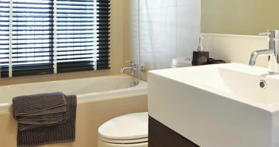 รูปภาพ โนเบิล โซโล (Noble Solo)