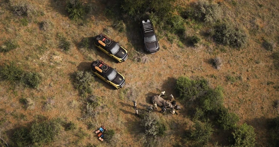 รูปภาพ แลนด์โรเวอร์ Land Rover Defender 110 Trophy Edition ปี 2025