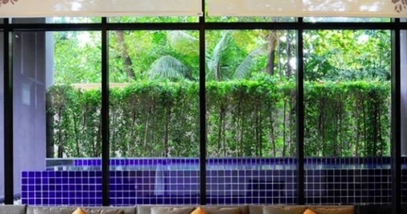 รูปภาพ โนเบิล รีวีล (Noble Reveal)