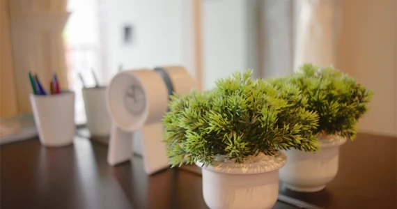 รูปภาพ ดิ เอ็กซ์คลูซีฟ สาทร - กัลปพฤกษ์ (The Exclusive Sathorn - Kanlapapruek)