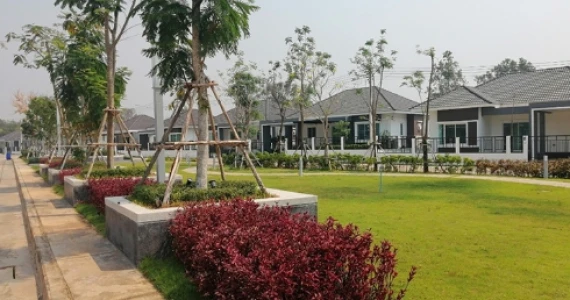 รูปภาพ เดอะทาวน์ เลี่ยงเมืองโนนม่วง-โนนเรือง (The Town Liangmuang Nonmuang-Nonruang)