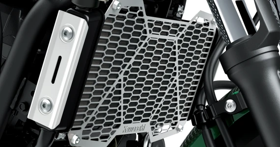 รูปภาพ คาวาซากิ Kawasaki Z 650RS ปี 2021